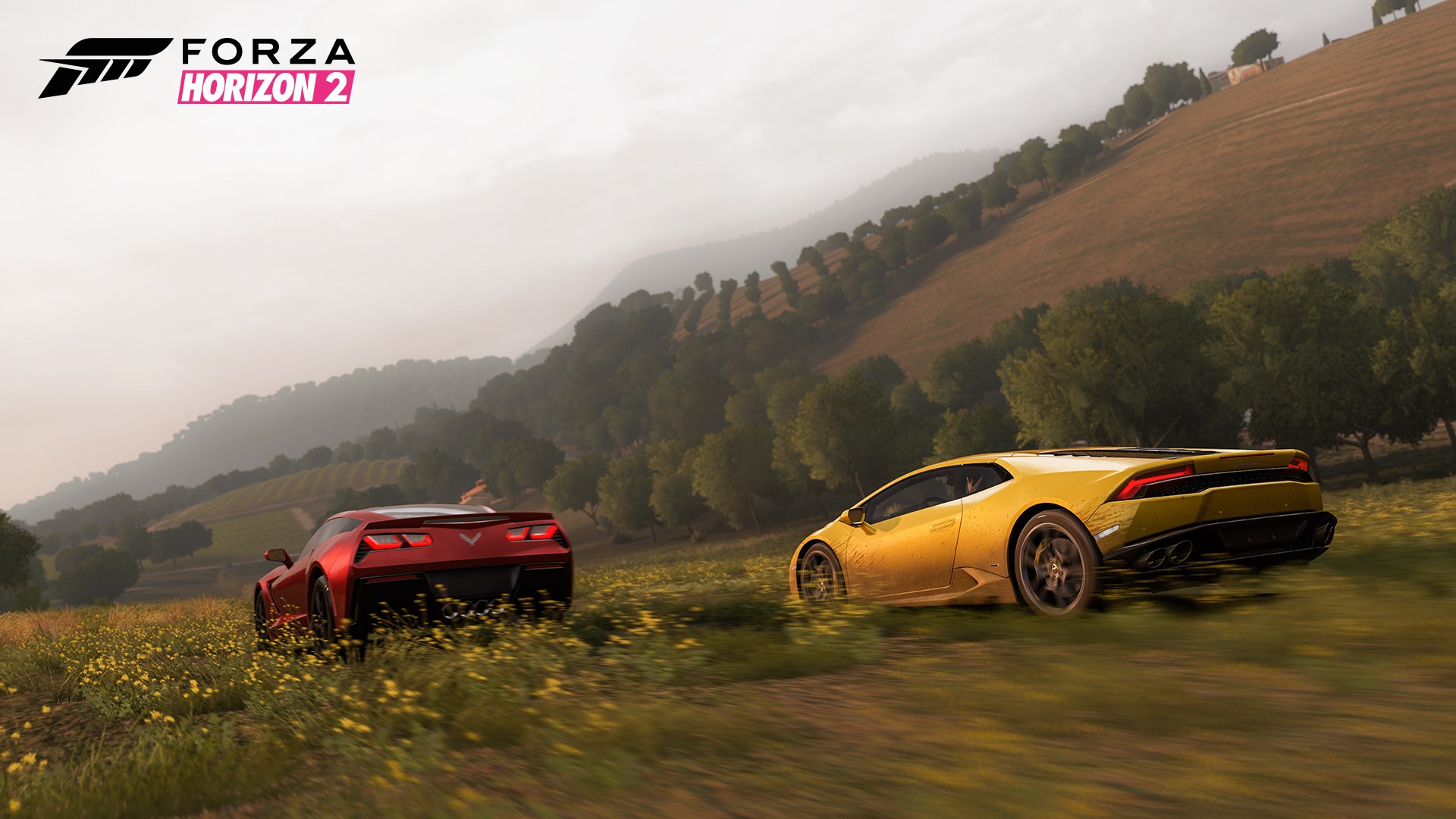 Forza Horizon 2 - Imagen 30